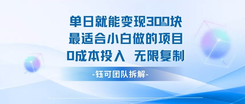 单日就能变现3张最适合小白做的项目0成本投入 无限复制,速发云资源网