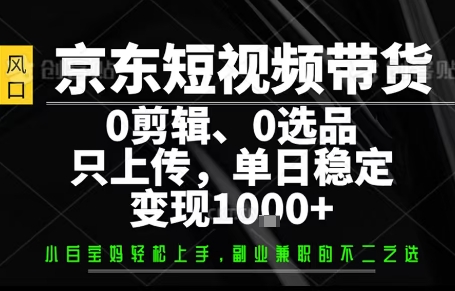 你出账号，我来运营，保底日入1k+，开启躺賺模式【揭秘】,速发云资源网