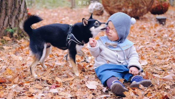 十大成功企业家的创业秘籍,速发云资源网