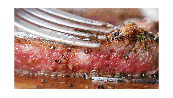 开源编程工具的优势与应用案例,速发云资源网