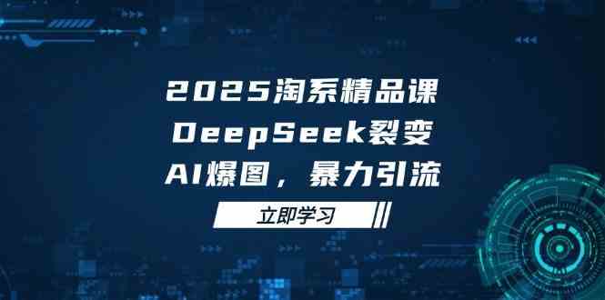 2025无界精品课，DeepSeek裂变，AI爆图，暴力引流助力淘系运营,速发云资源网