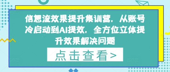 信息流效果提升集训营，从账号冷启动到AI提效，全方位立体提升效果解决问题,速发云资源网