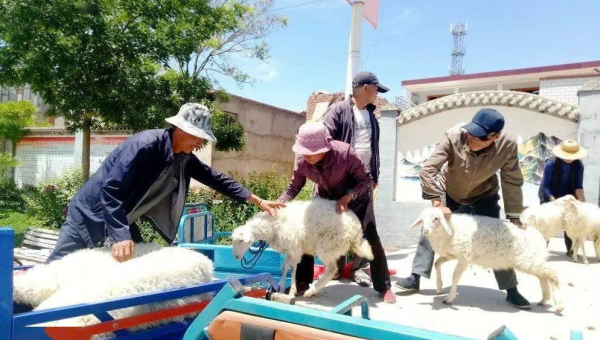 Grunt 插件开发的基础教程,速发云资源网