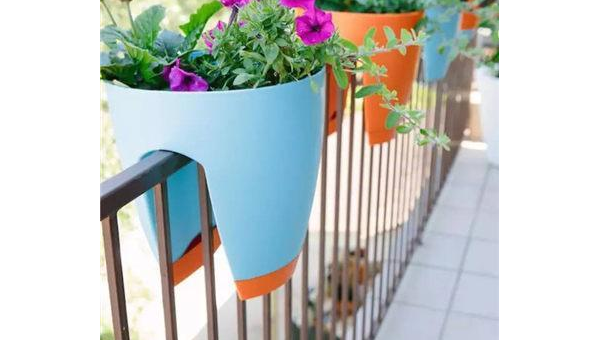 阳台栏杆上摆多肉植物风水好吗,速发云资源网