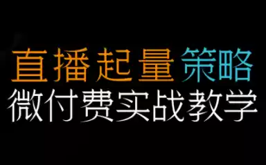 半野老师·直播带货起量与微付费必学课视频号,速发云资源网