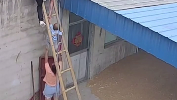 梦到自己的头发像藤蔓一样爬上高楼