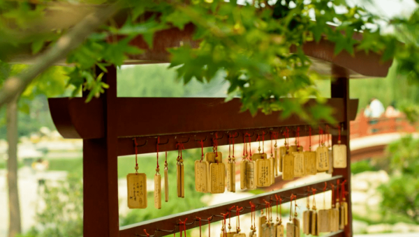 澳洲十大海鲜美食的新鲜体验,速发云资源网