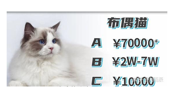 世界十大最贵宠物品种揭秘,速发云资源网