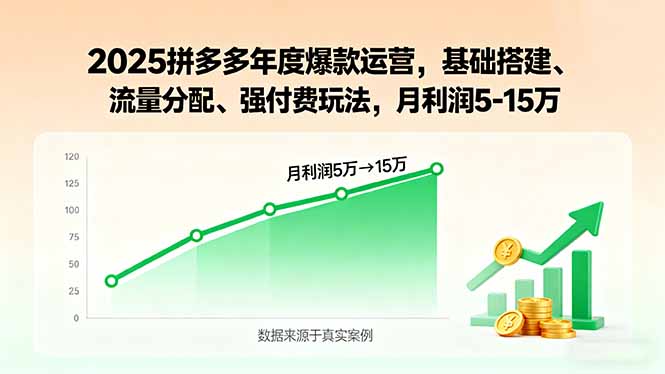 2025拼多多年度爆款运营，基础搭建、流量分配、强付费玩法，月利润5-15万,速发云资源网