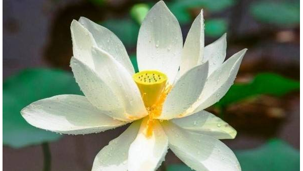 梦到在一个没有名字的世界寻找身份,速发云资源网