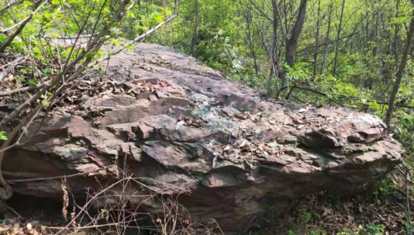 住宅西北方有个信号塔风水好不好,速发云资源网