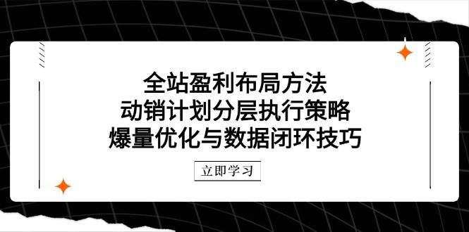 （14698期）全站盈利布局方法：动销计划分层执行策略，爆量优化与数据闭环技巧,速发云资源网