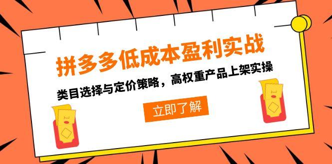 拼多多低成本盈利实战，类目选择与定价策略，高权重产品上架实操,速发云资源网