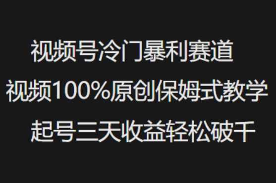 视频号冷门暴利赛道视频100%原创保姆式教学起号三天收益轻松破千,速发云资源网