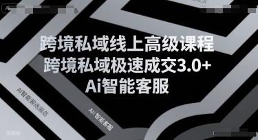 跨境私域线上高级课程，跨境私域极速成交3.0+Ai智能客服,速发云资源网