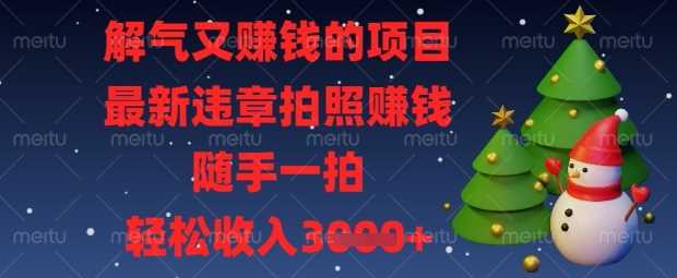 解气又挣钱的项目，最新违章拍照挣钱，随手一拍，轻松收入数张【揭秘】,速发云资源网
