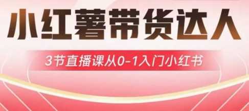 小红薯达人带货启航计划，3节直播课从0-1入门小红书,速发云资源网