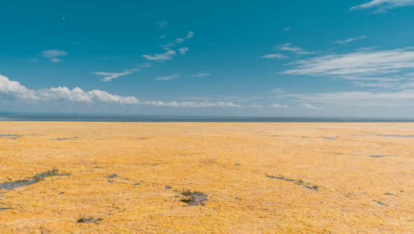 2025 年十大科技发明亮点,速发云资源网