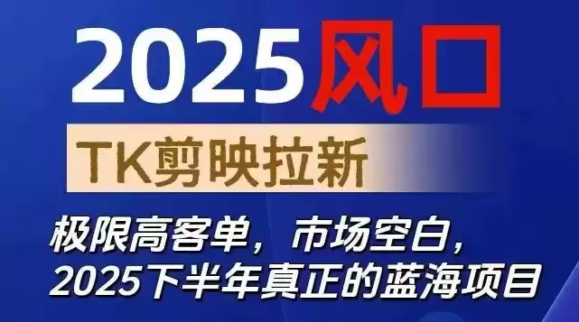 2025风口TK剪映capcut拉新项目，极限高客单，市场空白，2025下半年真正的蓝海项目,速发云资源网