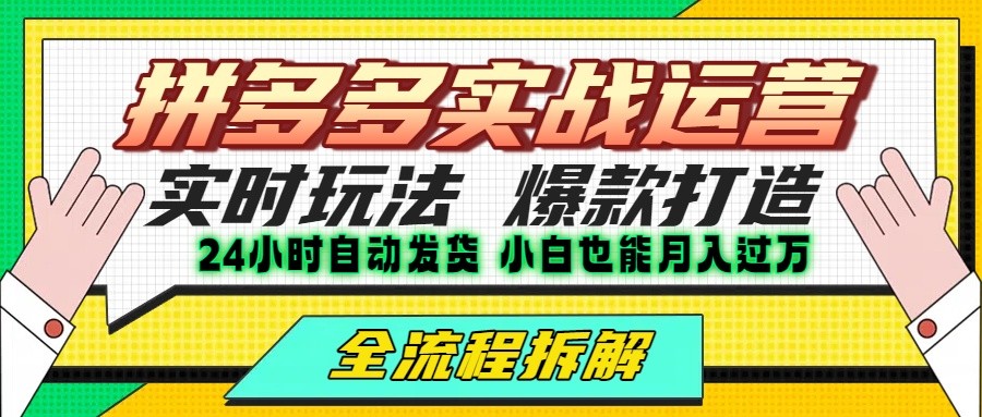 拼多多最新实战运营高投产：长久稳定项目，单店利润一天三位数,速发云资源网