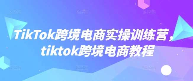 TikTok跨境电商实操训练营，tiktok跨境电商教程,速发云资源网