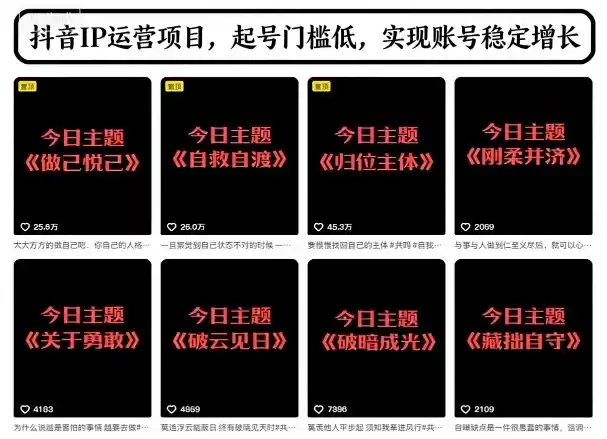 抖音IP运营项目，抖音今日主题玩法，起号门槛低，实现账号稳定增长,速发云资源网