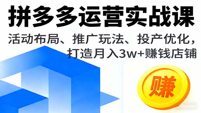 拼多多运营实战课，活动布局、推广玩法、投产优化，打造月入3w+赚钱店铺,速发云资源网