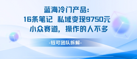 蓝海项目：16条笔记私域变现9750米小众赛道操作的人不多,速发云资源网