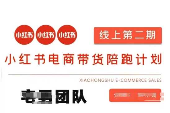 小红书电商带货课2期，月利润20个的小红书电商的有货源，无货源，虚拟产品，付费投流等整套玩法,速发云资源网