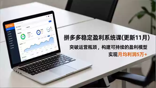 拼多多稳定盈利系统课(更新11月,速发云资源网