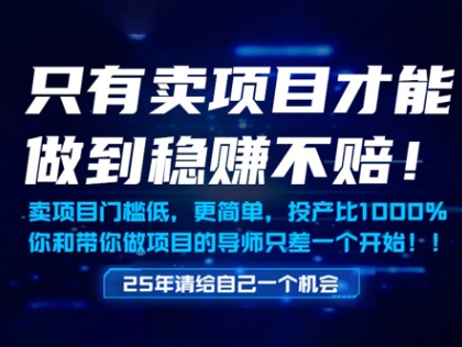 只有卖项目才能做到稳挣不赔，门槛低，更简单，你也可以年入百个W【揭秘】,速发云资源网