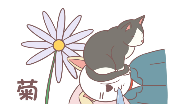 梦见身体缩小到能在花蕊中睡觉