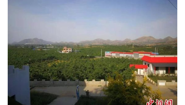 Clang Format 风格迁移：旧项目代码规范的自动化适配,速发云资源网