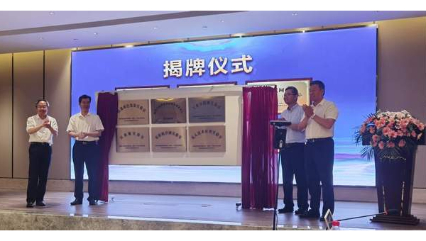 Mercurial 分布式算法:双向同步与冲突解决的数学模型