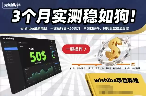 3个月实测稳如狗！wishlba最新项目，一键运行日入50美刀，单窗口躺挣，保姆级教程全给你【揭秘】,速发云资源网