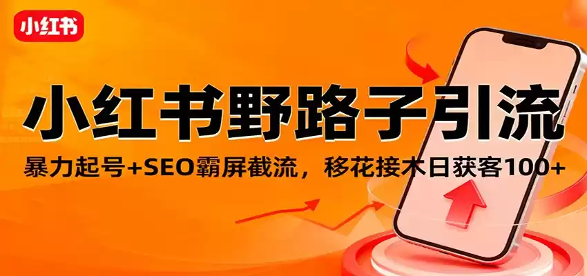 小红书野路子引流，暴力起号+SEO霸屏截流，移花接木日获客100+,速发云资源网