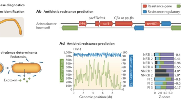 AWS Elastic Beanstalk 环境诊断：通过 EB CLI 获取底层日志,速发云资源网