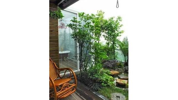 院子里种植梅树的风水好处,速发云资源网