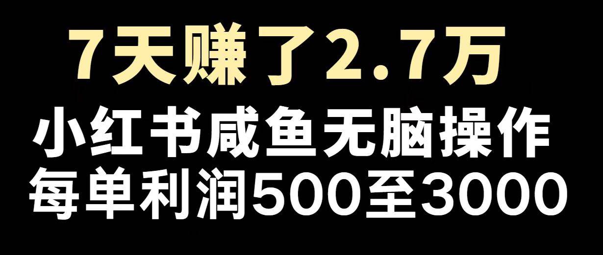 （14183期）最赚钱项目之一，2025爆火，逆风翻盘！,速发云资源网