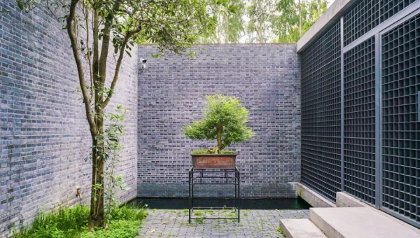 院子里种玫瑰花风水好吗,速发云资源网