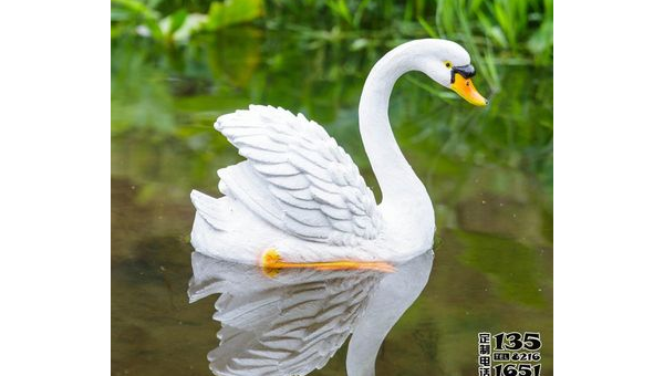 院子里养天鹅的风水讲究,速发云资源网