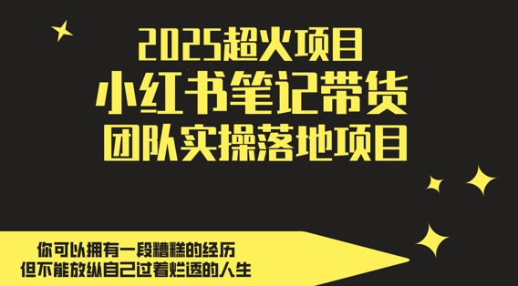 2025超火项目，副业最佳选择，小红书笔记带货团队实操落地项目，，轻松日入5张,速发云资源网