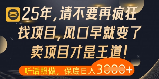 什么？25年你还在疯狂找项目做，醒醒吧，看完这些你全都懂了【揭秘】,速发云资源网