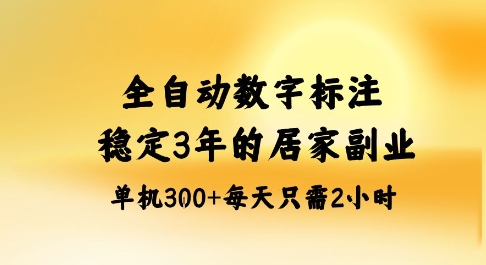 全自动数字标注，稳定3年的蓝海项目，居家也能矩阵开干的副业，单机日入3张+【揭秘】,速发云资源网