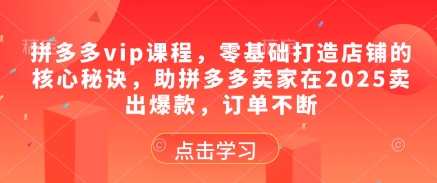 拼多多vip课程，零基础打造店铺的核心秘诀，助拼多多卖家在2025卖出爆款，订单不断,速发云资源网