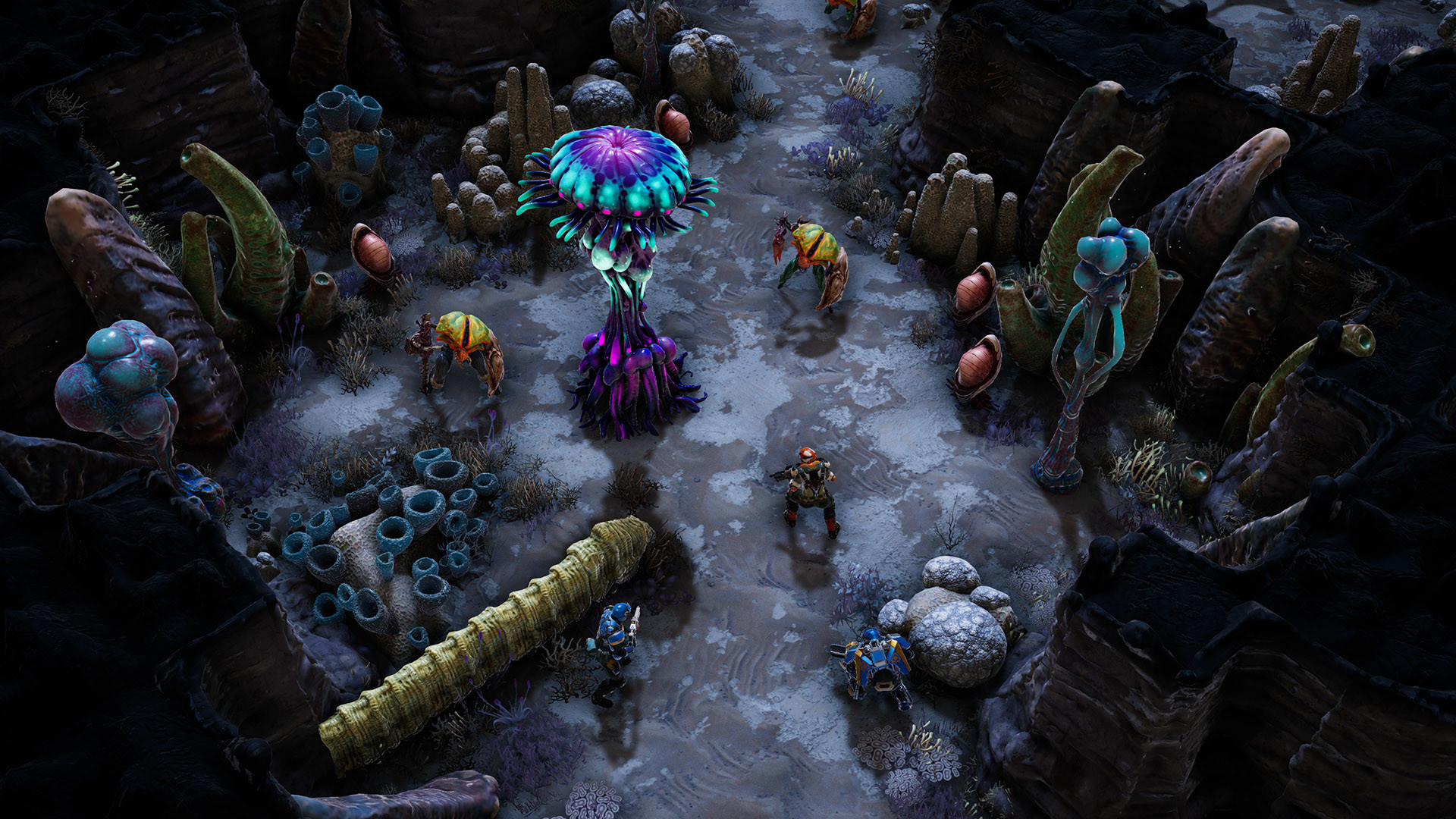 凤凰点：周年版/Phoenix Point: Year One Edition,速发云资源网