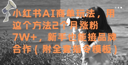 小红书AI商单玩法，用这个方法2个月涨粉7W+，新手也能接品牌合作(附全套指令模板),速发云资源网