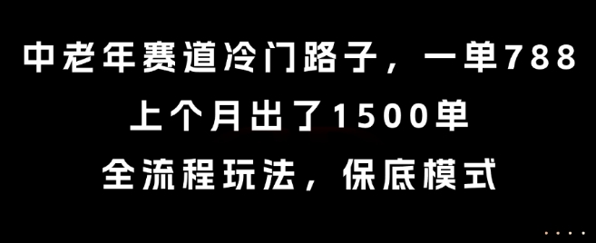 中老年赛道冷门路子，一单788，上个月出了1500单，全流程玩法，保底模式【揭秘】,速发云资源网