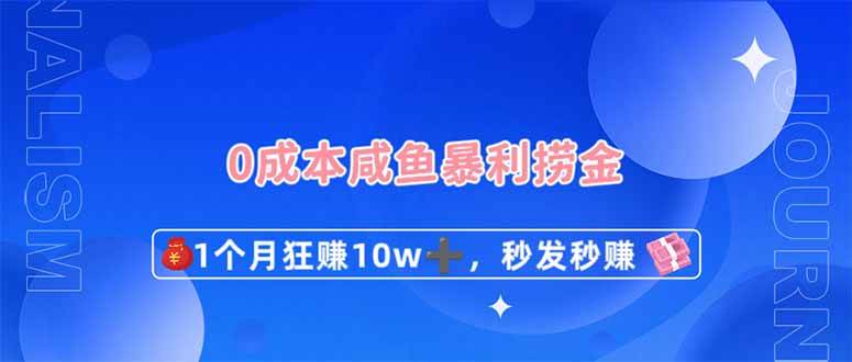 （14257期）0成本闲鱼暴利捞金，1个月狂赚10W+，秒发秒赚新玩法,速发云资源网