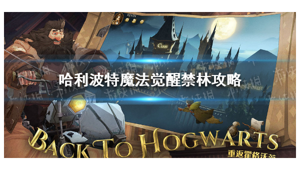 哈利波特：魔法觉醒手游赫敏回响怎么玩,速发云资源网